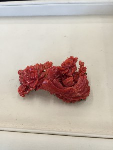 赤珊瑚ブローチ