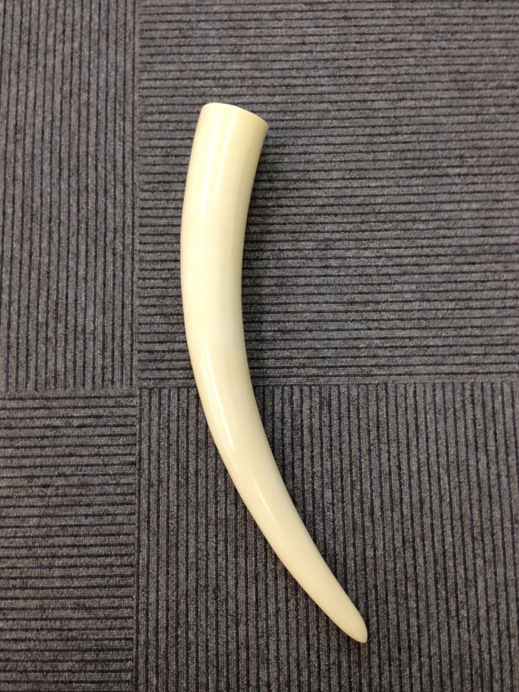 象牙買取ました 東京のお客様 買取のラフテル