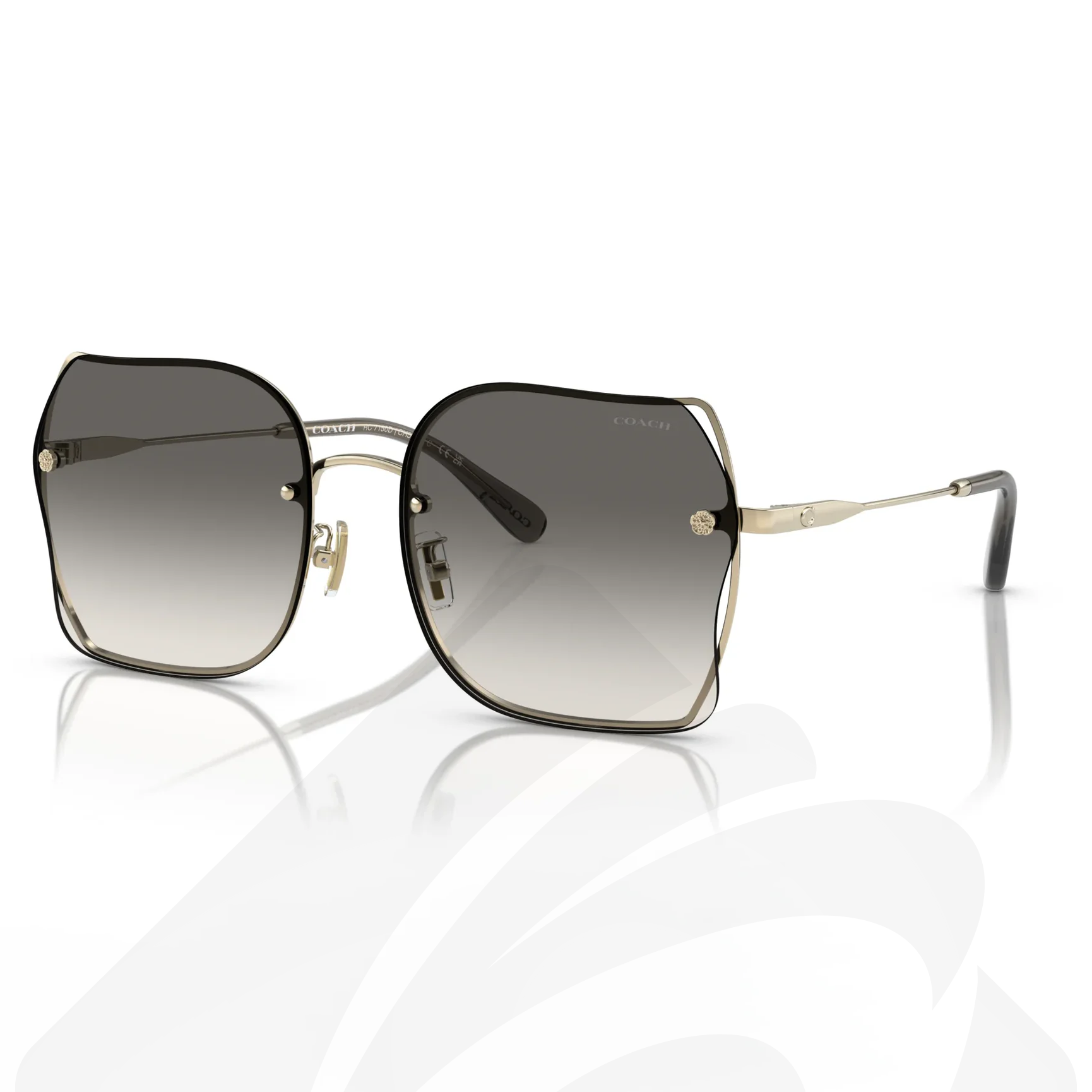 Amazon | [コーチ] サングラス 0HC8298U レディース Black Frame