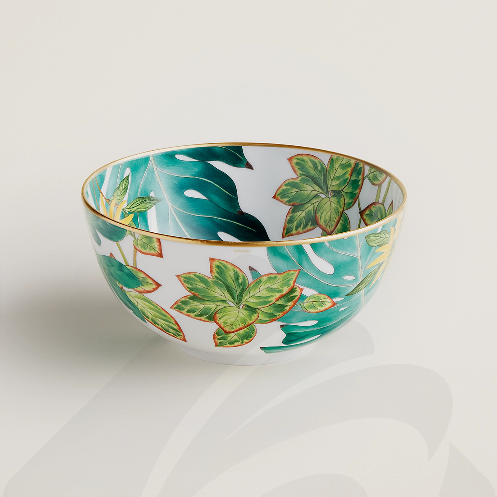 エルメス ボウル 〈パシフォリア〉 GM 素材:ポーセリン 色: