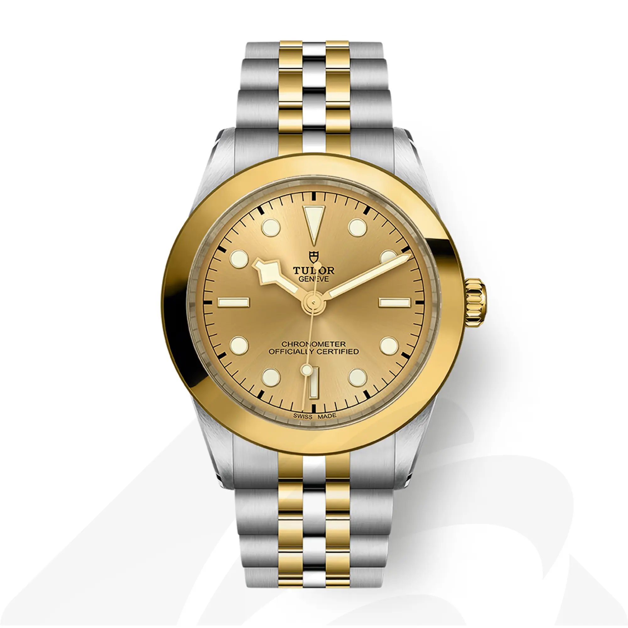 チューダー Black Bay 39 S&G  素材:スチール製ケース 色:シャンパンカラー