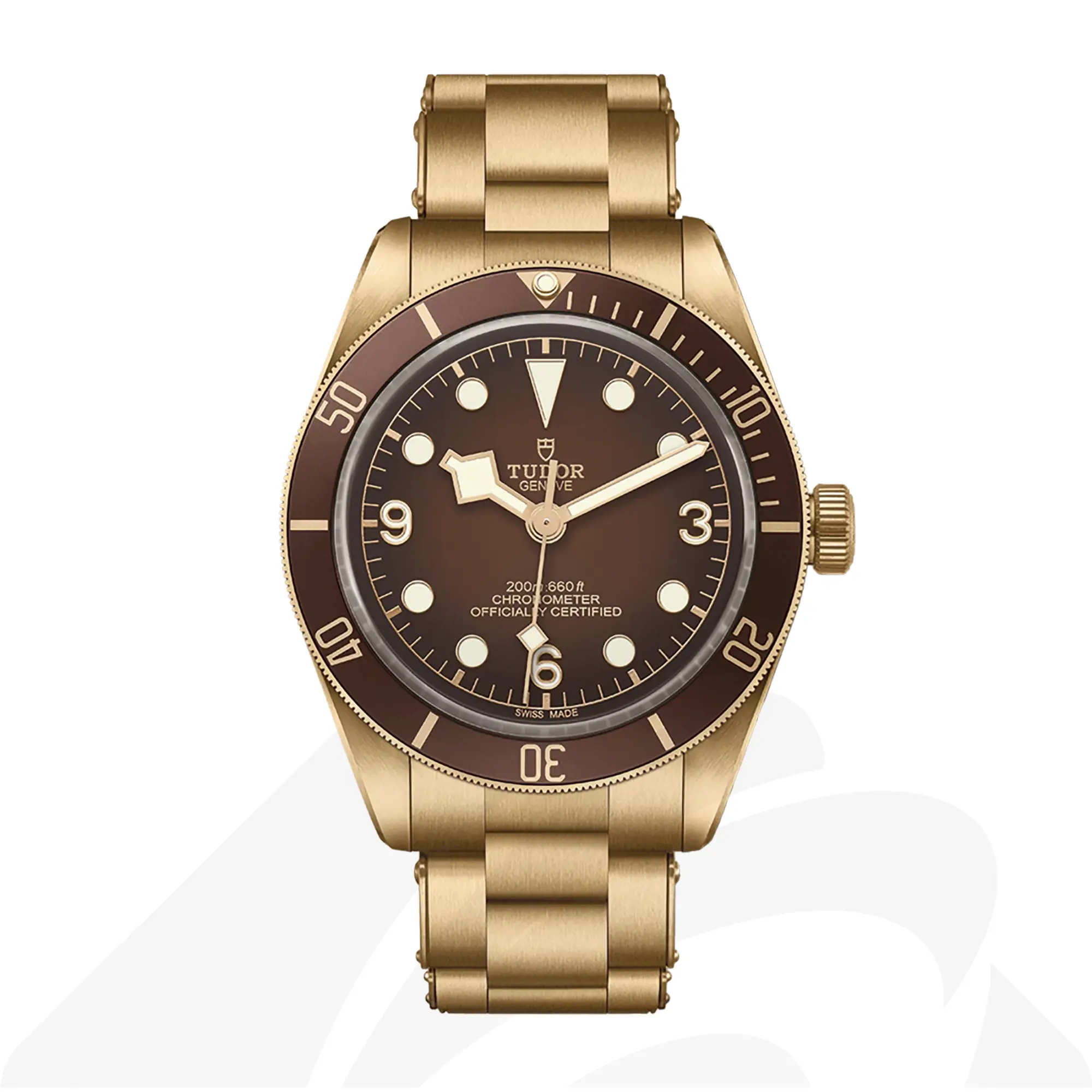 チューダー Black Bay 58 Bronze  素材:ブロンズ製ケース 色:ブロンズブラウン