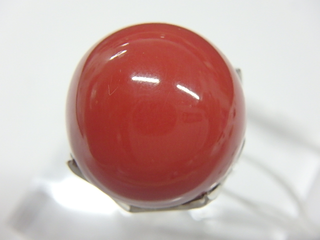pt900 珊瑚 19.5g 18mm