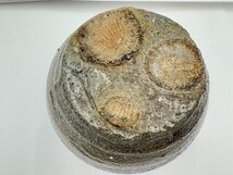 濱田庄司 益子焼 塩釉徳利